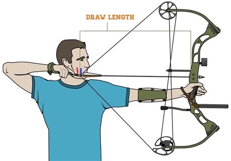 Choosing the Perfect Bow to Suit Your Requirements