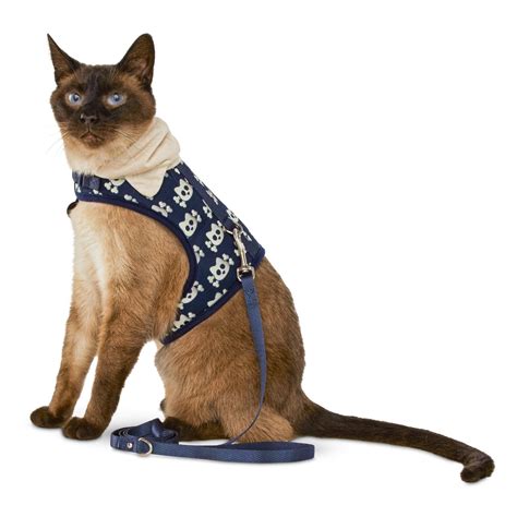 Choosing the Perfect Harness and Leash for Your Beloved Kitty