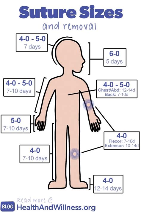 Choosing the Right Leg Cut