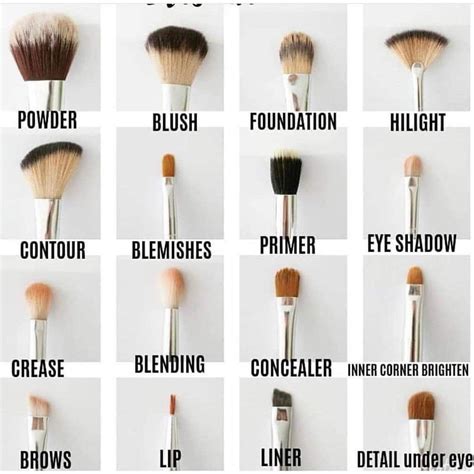 Choosing the Right Makeup Brush: A Guide for Beginners