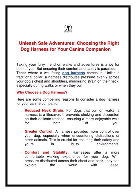 Choosing the Right Organization for Canine Safety