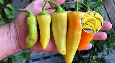 Choosing the Right Peppers and Ingredients