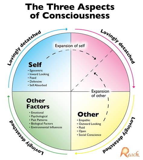 Chronological Consciousness: Karissa Lynne's Chronological Position