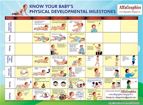 Chronological Milestones and Physical Attributes