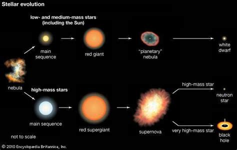 Chronological Milestones in the Life of the Enigmatic Star