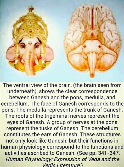 Cleansing the Mind and Soul: The Transformative Power of Ganesha's Vision