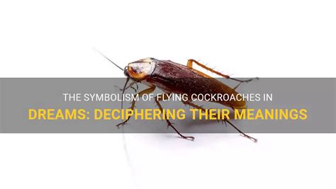 Cockroaches in Dreams: Deciphering Symbolism and Reflecting on Meaning