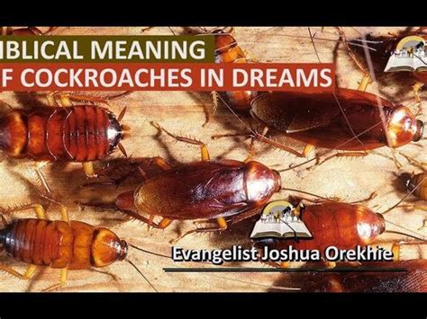 Cockroaches in Dreams: Exploring the Symbolic Significance