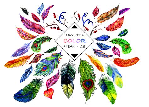 Colorful Feathers: Exploring the Meaning of Different Chicken Colors in Dreams