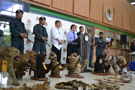 Combating Illegal Wildlife Trade: A Global Effort