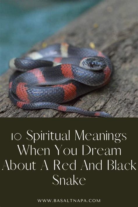 Common Aspects of Serpent Dreams in Catholic Beliefs