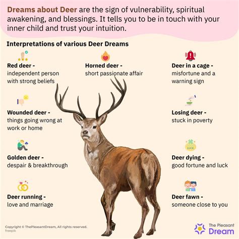 Common Dream Patterns with a Bleeding Deer