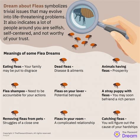 Common Dream Scenarios Involving Fleas on Others