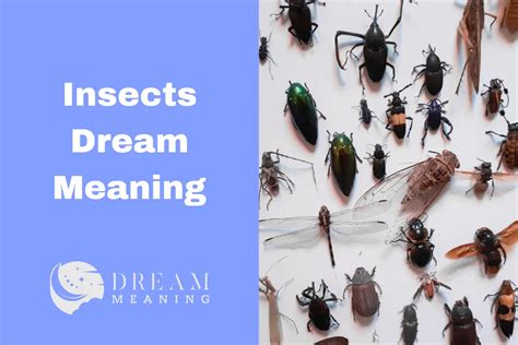 Common Dream Scenarios with Insects and Vermin: Decoding Their Significance