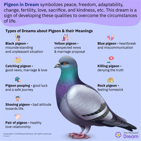 Common Emotions Linked to Dreaming about Pigeons