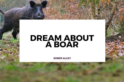 Common Emotions and Reactions in Dreams of a Violent Encounter with a Wild Boar