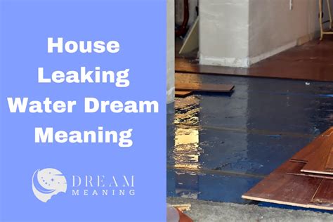 Common Explanations for Dreams Involving a House that is Leaking