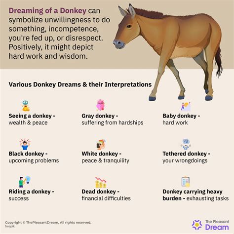 Common Meanings of Dreams Involving Pursuing a Donkey