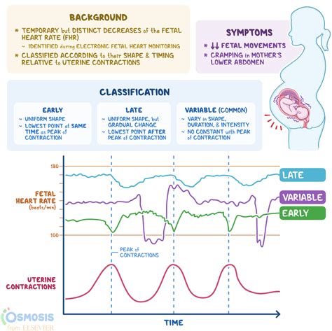 Common Patterns and Variations in Dreams of Nursing Attempts