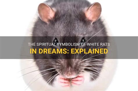 Common Scenarios and Situations Involving White Rats in Dreams