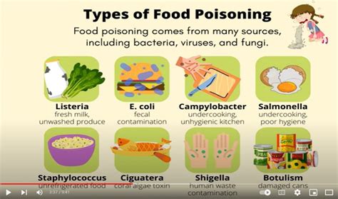 Common Sources of Stomach Infections: Contaminated Food and Water