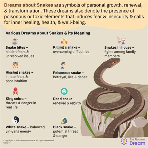 Common Themes: Rabbits and Snakes in Dreams