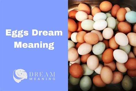 Common Themes and Interpretations Associated with Eggs in Dreams