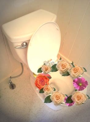 Common Themes in Dreams of Dysfunctional Toilets