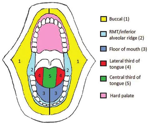 Common Triggers for Dreams Involving Detachment of the Oral Region