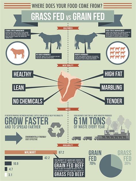 Comparing Grass-Fed and Grain-Fed Beef: Understanding the Differences