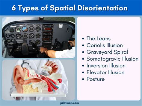 Comparing and Contrasting Mall Dreams with Other Forms of Disorientation