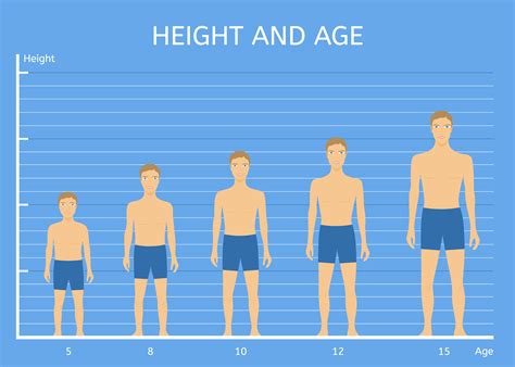 Comparison to Average Stature