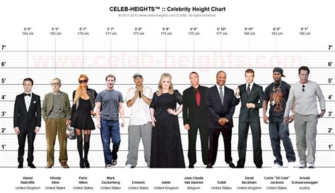 Comparison to other celebrities' heights