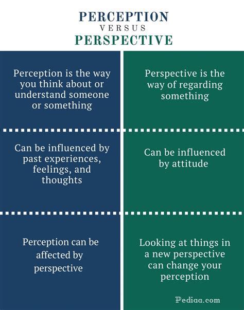 Comparisons and Perspective