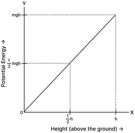 Comparisons of Vertically Superiority and Prospective Stature