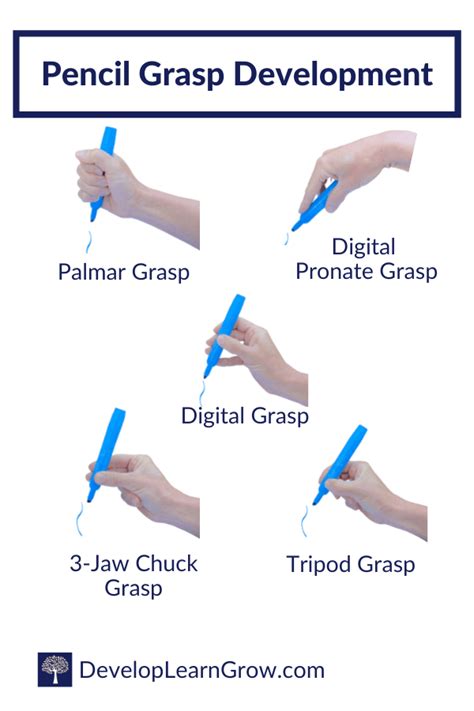 Comprehensive Overview: All You Need to Grasp!