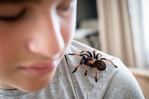 Confronting Arachnophobia: Defeating Fear through Exposure Therapy