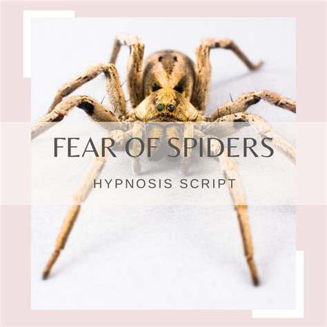 Confronting Fear: Overcoming Arachnophobia through Vivid Reveries