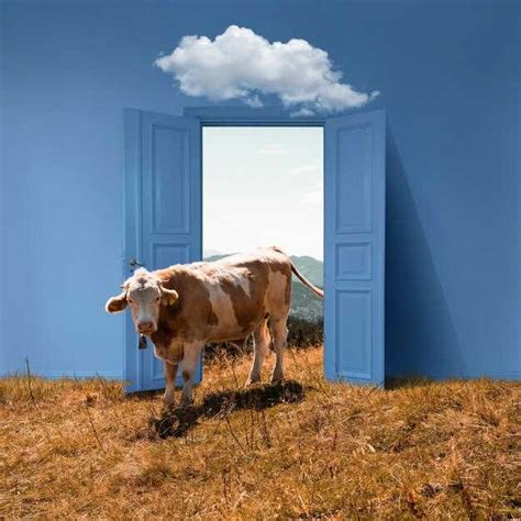 Confronting Fears: Exploring the Meaning Behind Cow Bite Dreams and Their Connection to Personal Growth