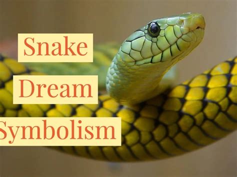 Confronting Your Inner Adversaries: Analyzing Serpent-related Dreams