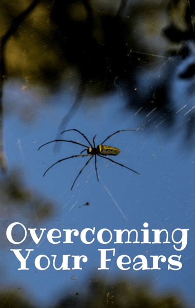 Confronting and Overcoming Your Fear of Arachnids in Dream Therapy