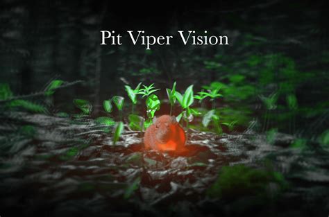 Connecting the Serpent Vision to Your Personal Experience and Emotions