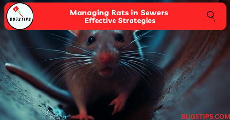 Conquering the Fear: Strategies for Managing Rat Dreams