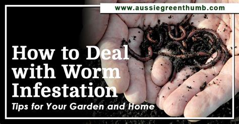 Coping Strategies for Dealing with Dreams of Worm Infestation