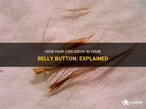 Coping Strategies for Individuals Facing Disconcerting Belly Button Hair Fantasies