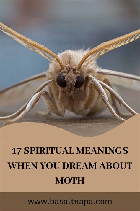 Coping with Dreams of Moth In Ear: Practical Tips for a Peaceful Sleep