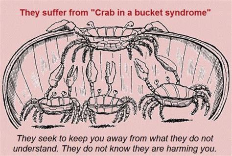 Crab as a Metaphor: Understanding Personal Transformation