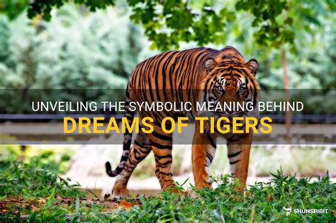 Cracking the Enigmatic Significance Behind Tiger Dreams