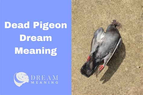 Cracking the Hidden Meanings of Dreams Involving Pigeon Mortality