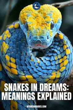 Cracking the Puzzle: Insights into the Subconscious through Snake Dreams